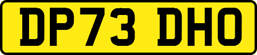 DP73DHO