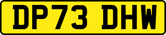 DP73DHW