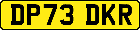 DP73DKR
