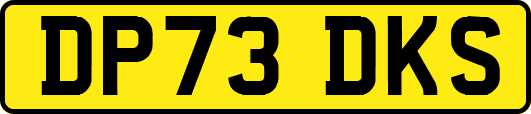DP73DKS