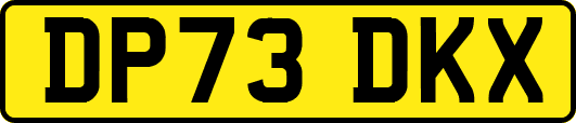 DP73DKX