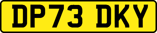 DP73DKY