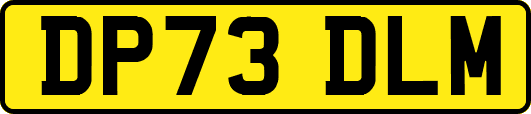 DP73DLM