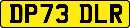 DP73DLR