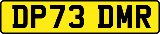 DP73DMR