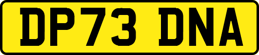 DP73DNA
