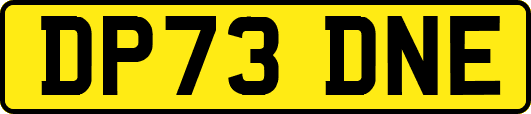 DP73DNE