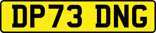 DP73DNG