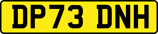 DP73DNH