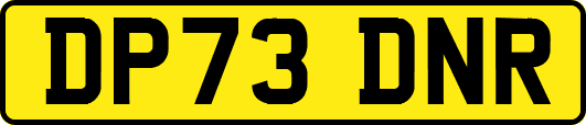 DP73DNR