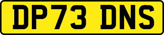 DP73DNS