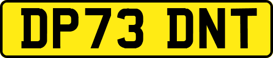 DP73DNT