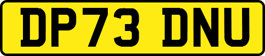 DP73DNU