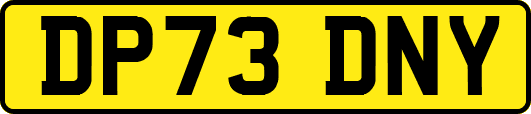 DP73DNY