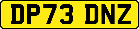 DP73DNZ