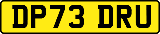 DP73DRU
