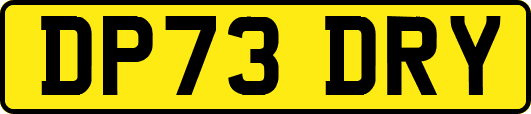 DP73DRY