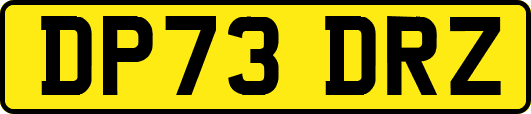DP73DRZ