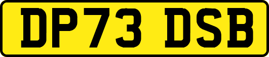 DP73DSB
