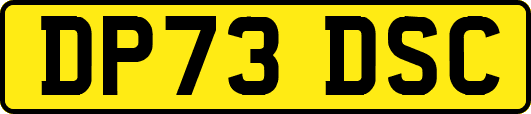 DP73DSC