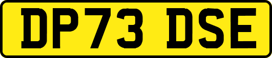 DP73DSE