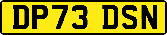 DP73DSN