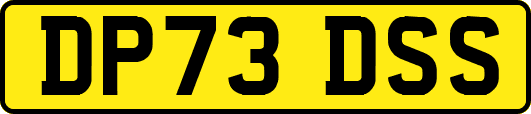 DP73DSS