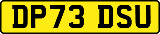 DP73DSU