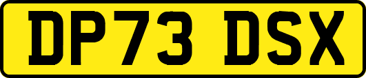 DP73DSX