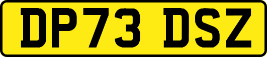 DP73DSZ