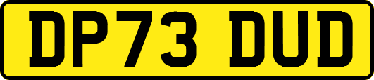 DP73DUD