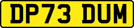 DP73DUM