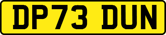 DP73DUN
