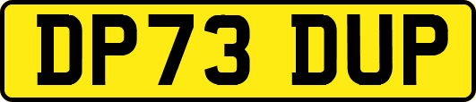 DP73DUP