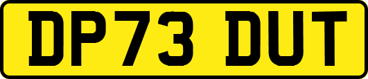DP73DUT