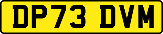 DP73DVM