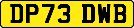 DP73DWB