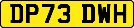 DP73DWH