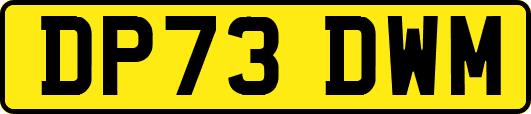 DP73DWM