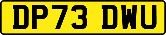 DP73DWU