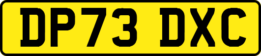 DP73DXC