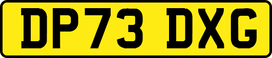 DP73DXG