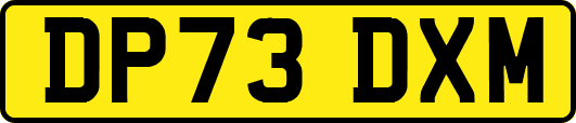 DP73DXM