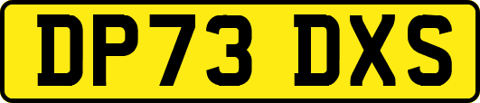 DP73DXS