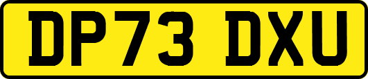 DP73DXU