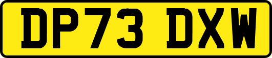 DP73DXW