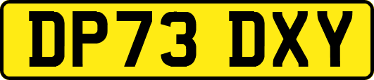 DP73DXY