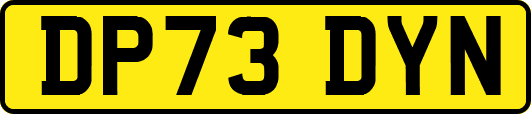 DP73DYN