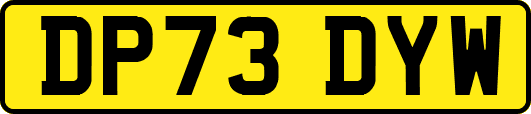 DP73DYW