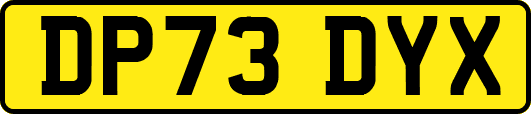 DP73DYX